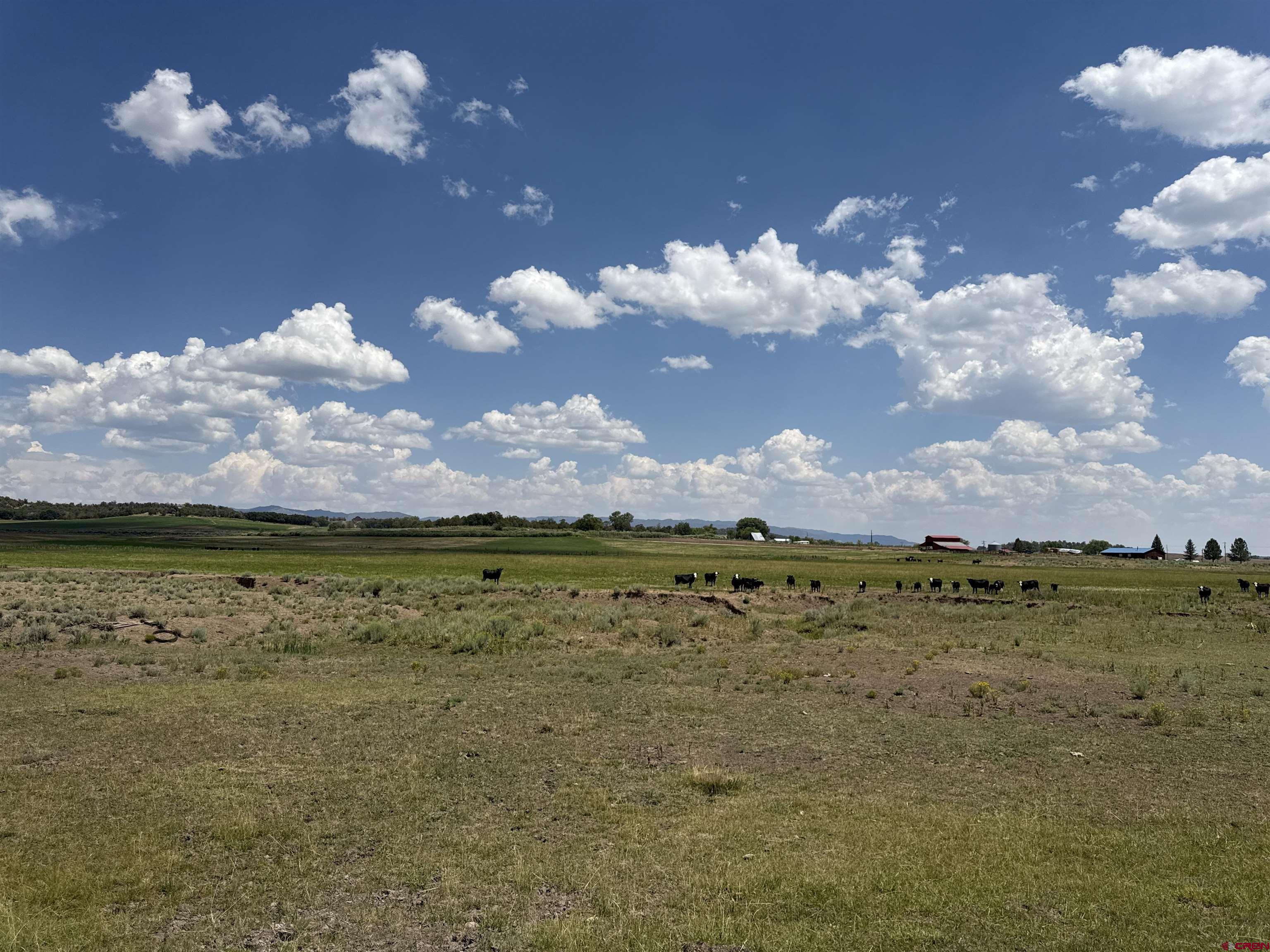 172 Ignacio Co 81137 Ignacio, CO 81137 - Photo 6 of 12 a view of a lake with a building in the background
