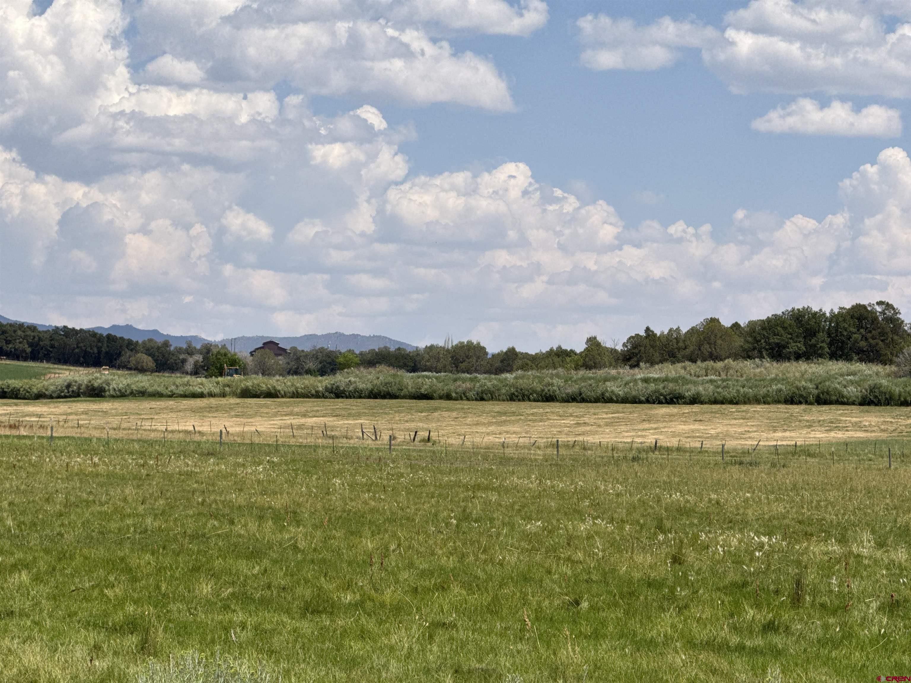 172 Ignacio Co 81137 Ignacio, CO 81137 - Photo 7 of 12 a view of a lake from a yard