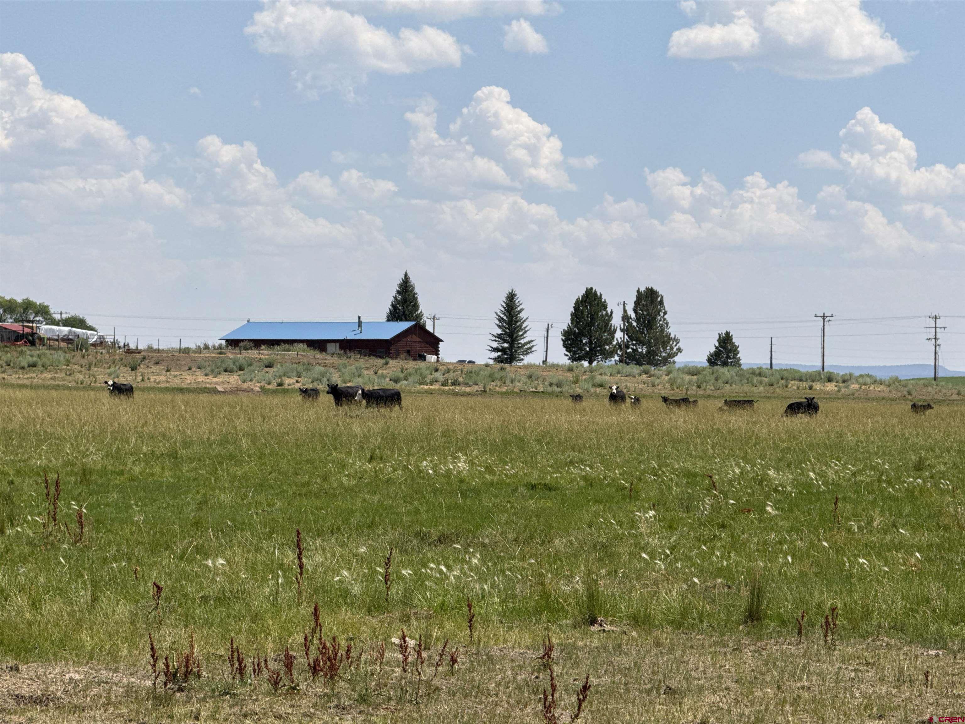 172 Ignacio Co 81137 Ignacio, CO 81137 - Photo 8 of 12