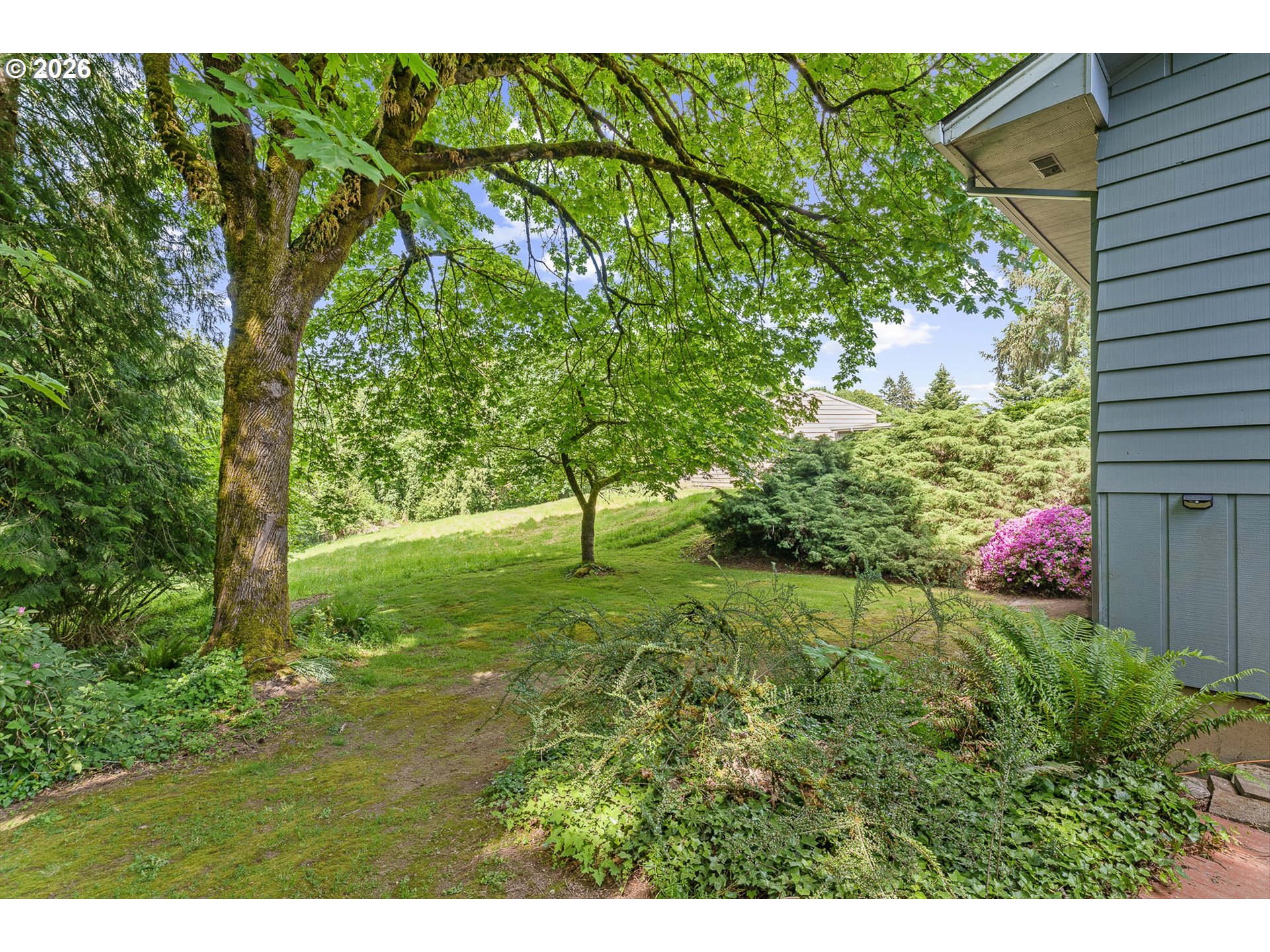 12737 Northeast Cedarbrook Road Aurora, OR 97002 - Photo 27 of 48 a view of yard with green space