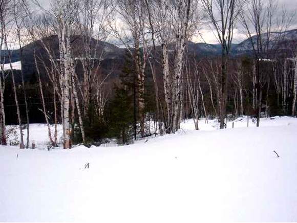 - Paradis Mtn Road Brighton, VT 05846 - Photo 1 of 9 Gallery Image 1
