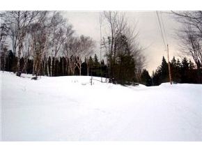 - Paradis Mtn Road Brighton, VT 05846 - Photo 2 of 9 Gallery Image 2