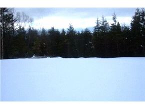- Paradis Mtn Road Brighton, VT 05846 - Photo 4 of 9 Gallery Image 4