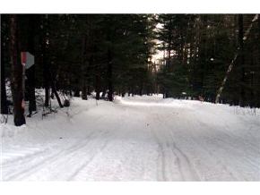 - Paradis Mtn Road Brighton, VT 05846 - Photo 5 of 9 Gallery Image 5
