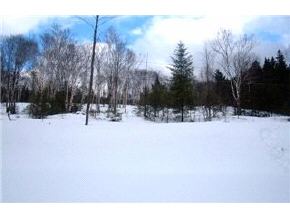 - Paradis Mtn Road Brighton, VT 05846 - Photo 8 of 9 Gallery Image 8
