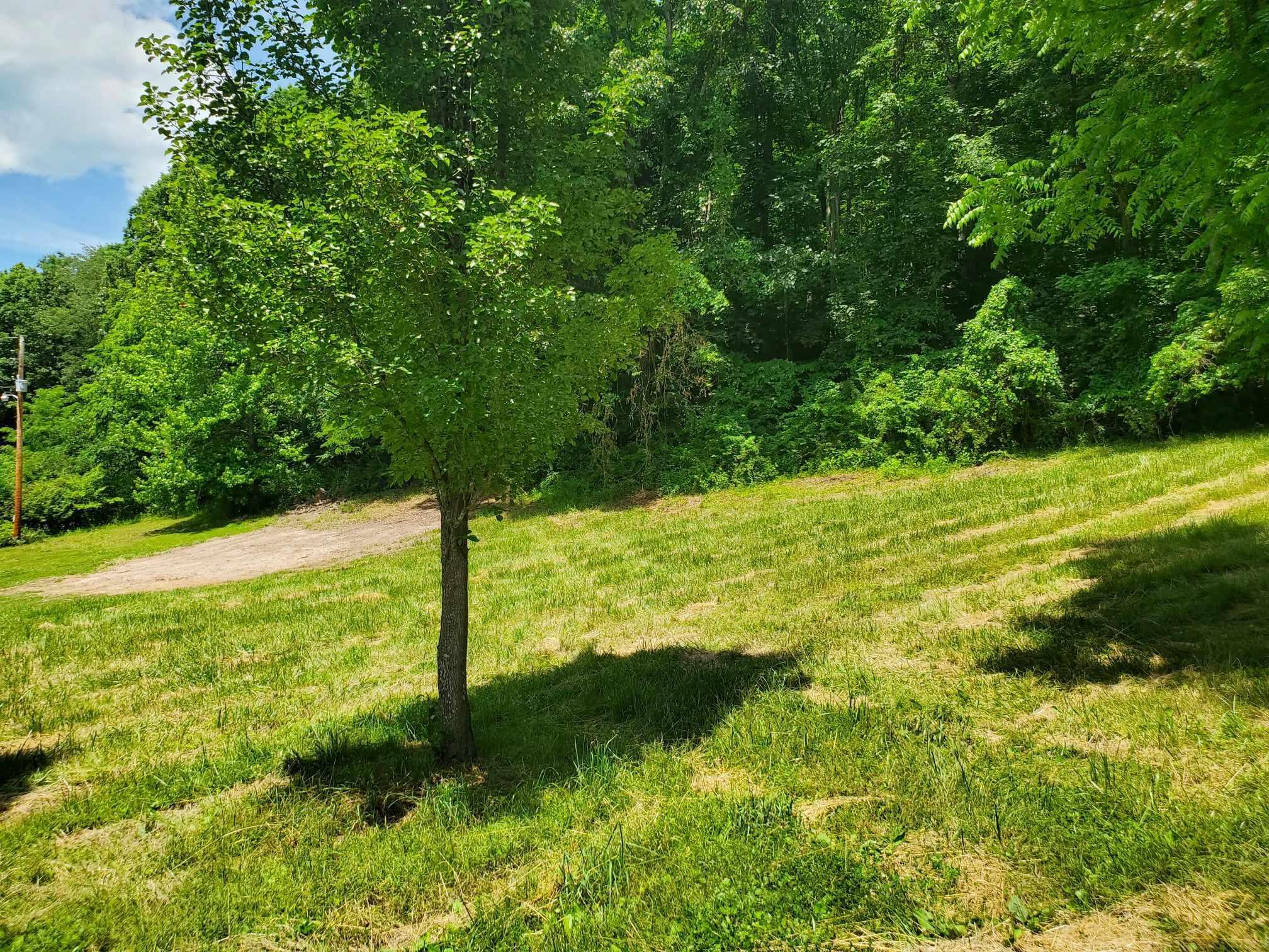 49 Duncan Branch Road Meadow Bridge, WV 25976 - Photo 16 of 21 Gallery Image 16