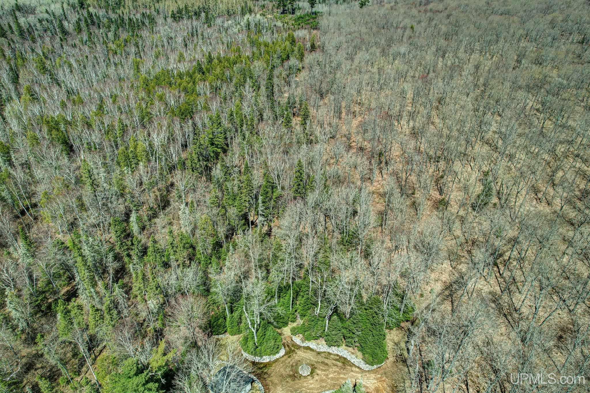 Tbd Cut Across Road Michigamme, MI 49861 - Photo 30 of 31