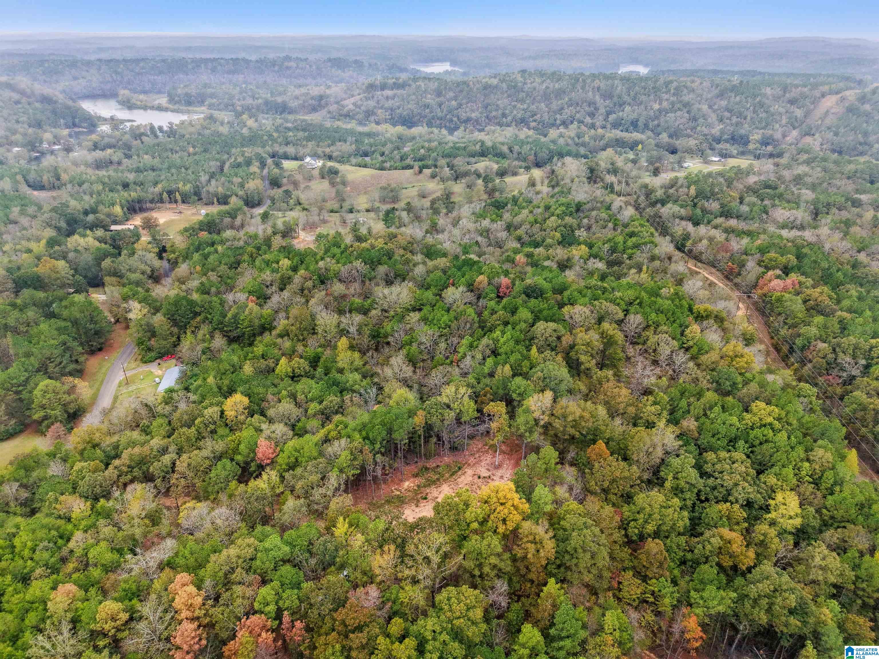 1215 Buddy Vines Camp Road Bessemer, AL 35023 - Photo 23 of 25