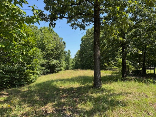 8062 Frame Hollow Road Nunnelly, TN 37137 - Photo 4 of 47