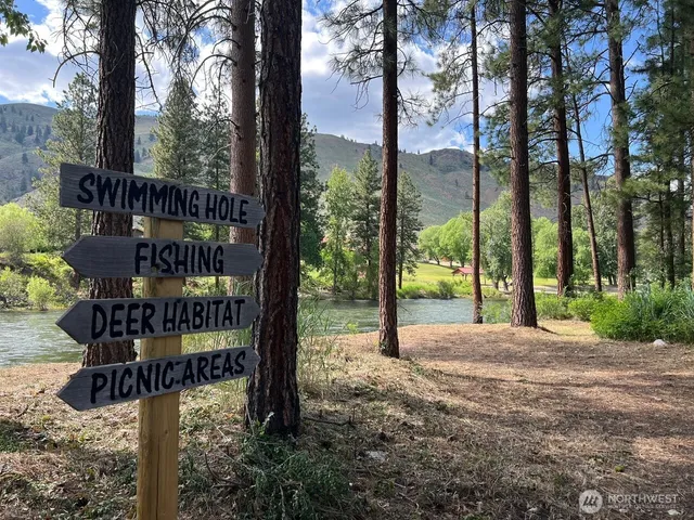 a street view with tall trees and a sign board