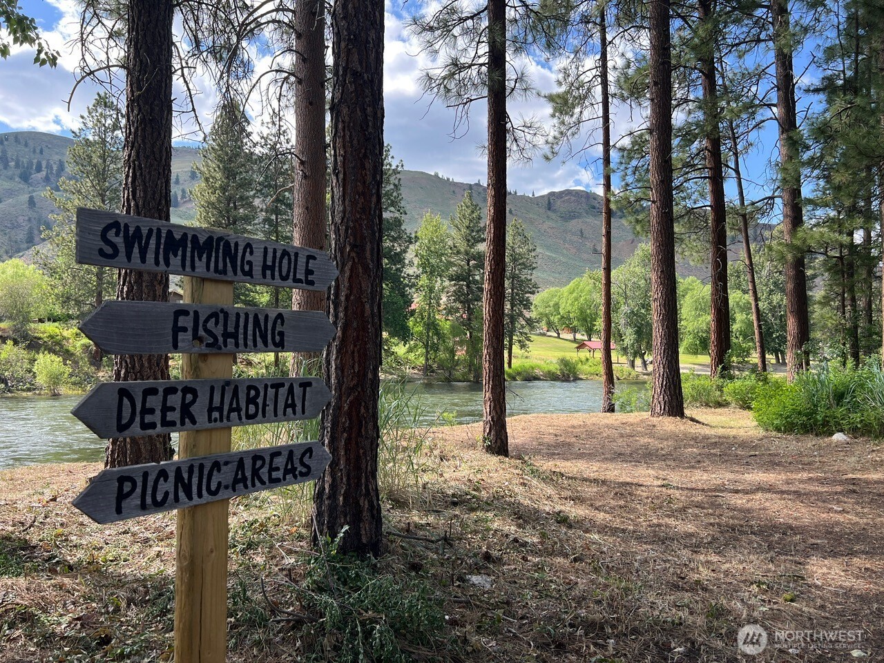 3 A Ross Road Twisp, WA 98856 - Photo 38 of 40 a street view with tall trees and a sign board