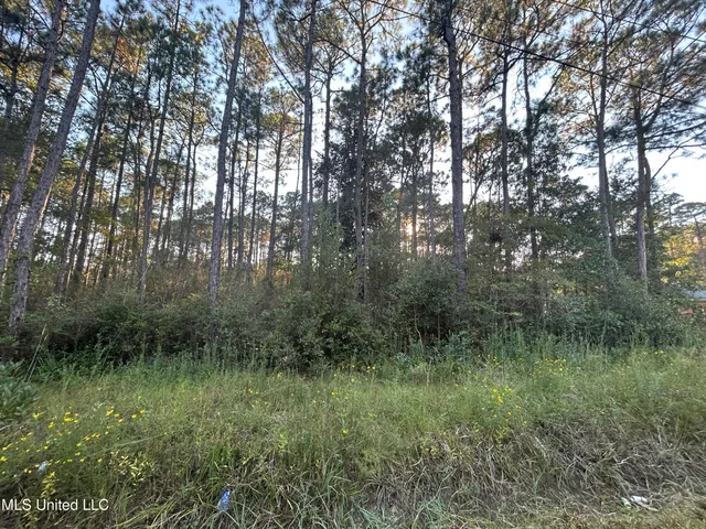 $12,000 | Oak Street, Ocean Springs, MS 39564