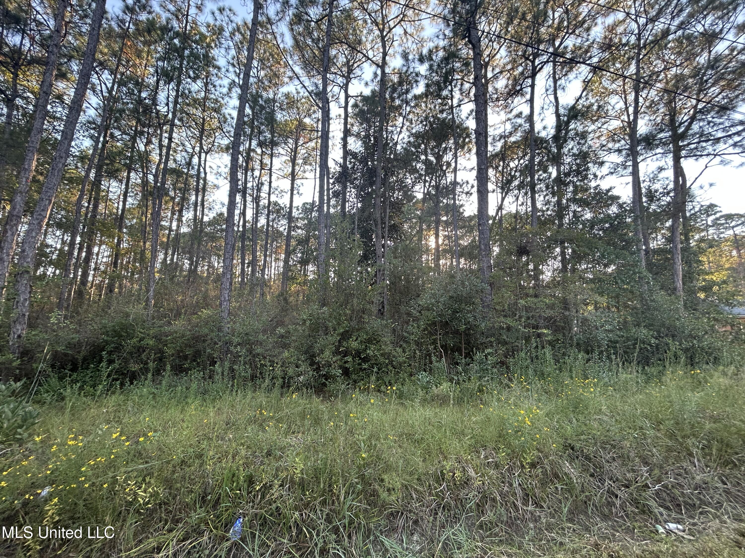 Oak Street Ocean Springs, MS 39564 - Photo 4 of 4 Oak Street 2