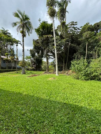 $750,000 | 17-733 Ala Loop, Kurtistown, HI 96760