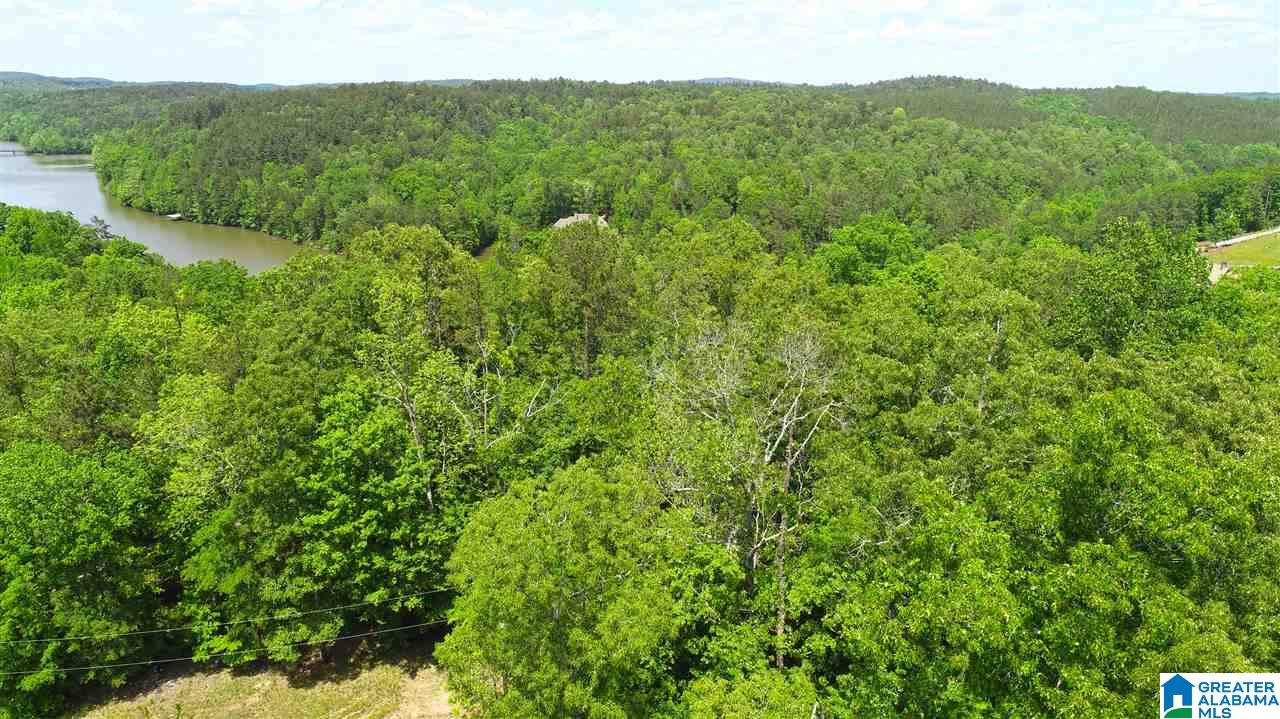 2011 County Road Wedowee, AL 36278 - Photo 4 of 6