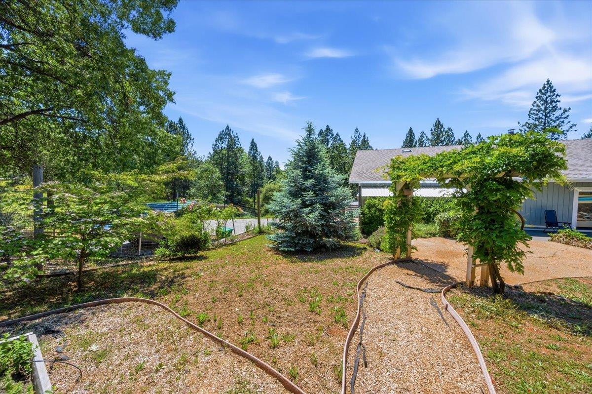 10704 Round Valley Road Grass Valley, CA 95949 - Photo 45 of 56
