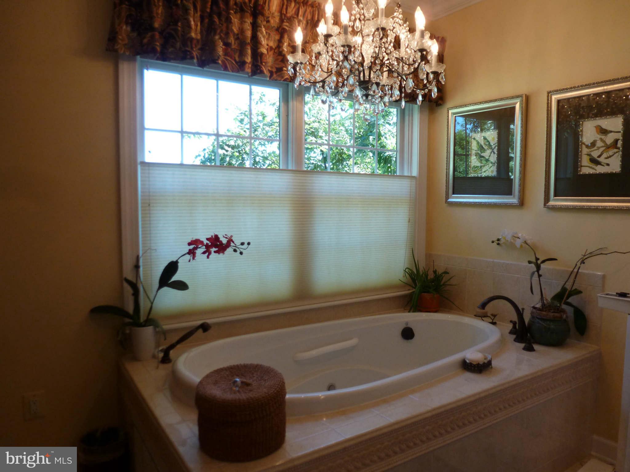 8095 Ventnor Road Pasadena, MD 21122 - Photo 19 of 30 Bath (Master)