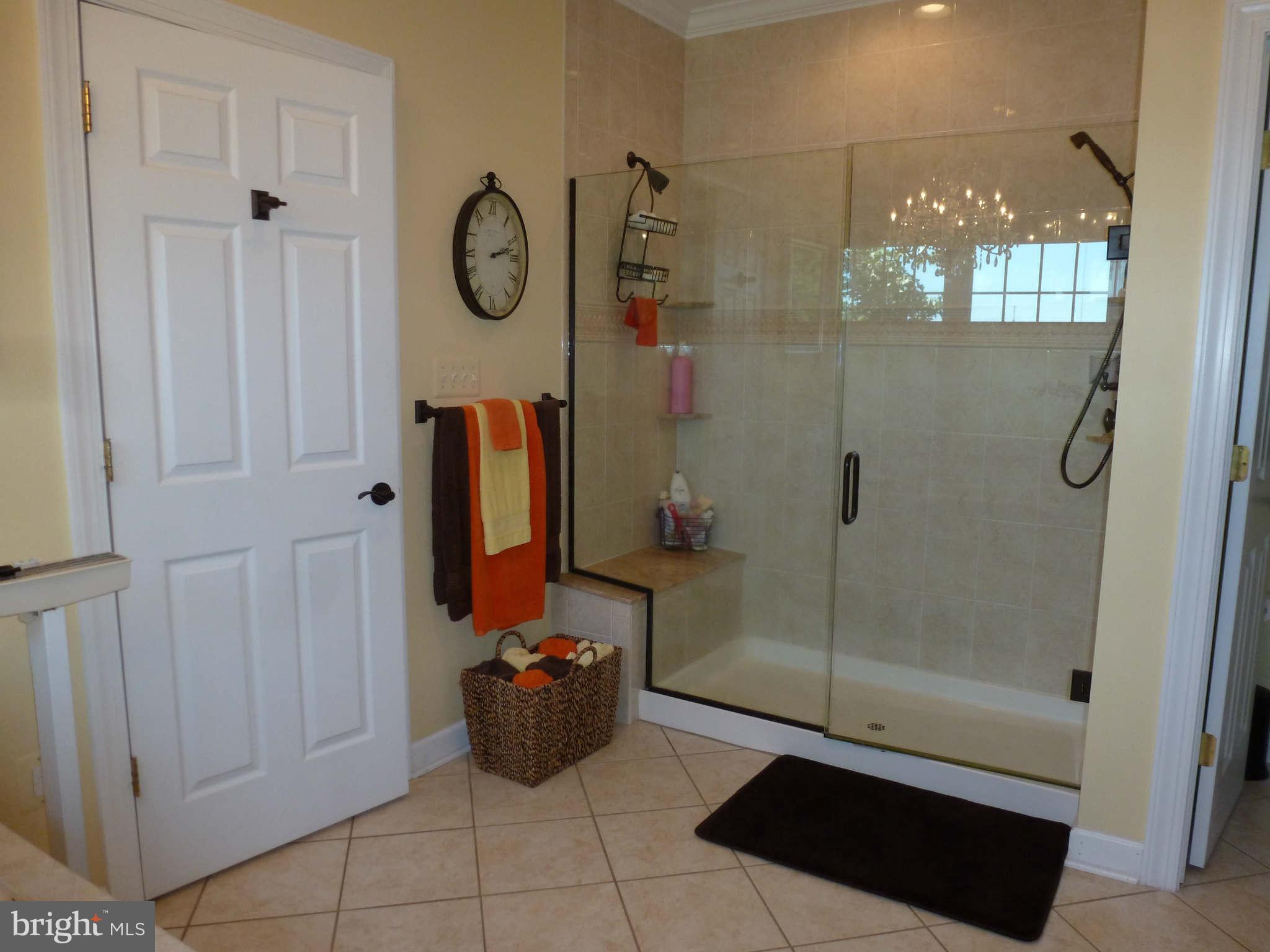 8095 Ventnor Road Pasadena, MD 21122 - Photo 21 of 30 Wide shower in Master Bathroom