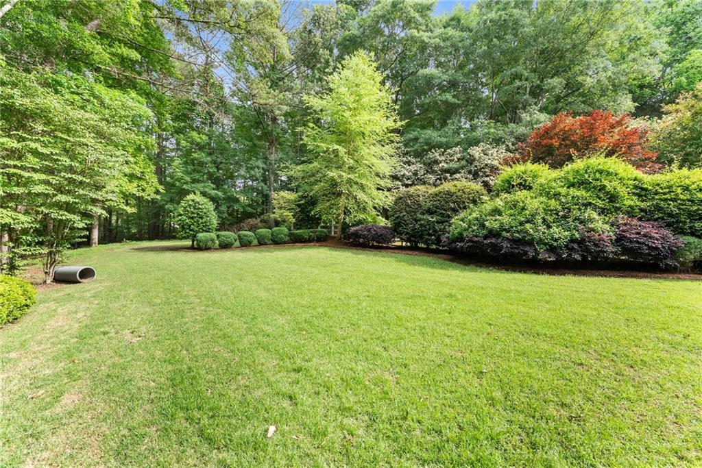 2832 B B Wilson Road Commerce, GA 30529 - Photo 78 of 96 a view of a yard with a trees