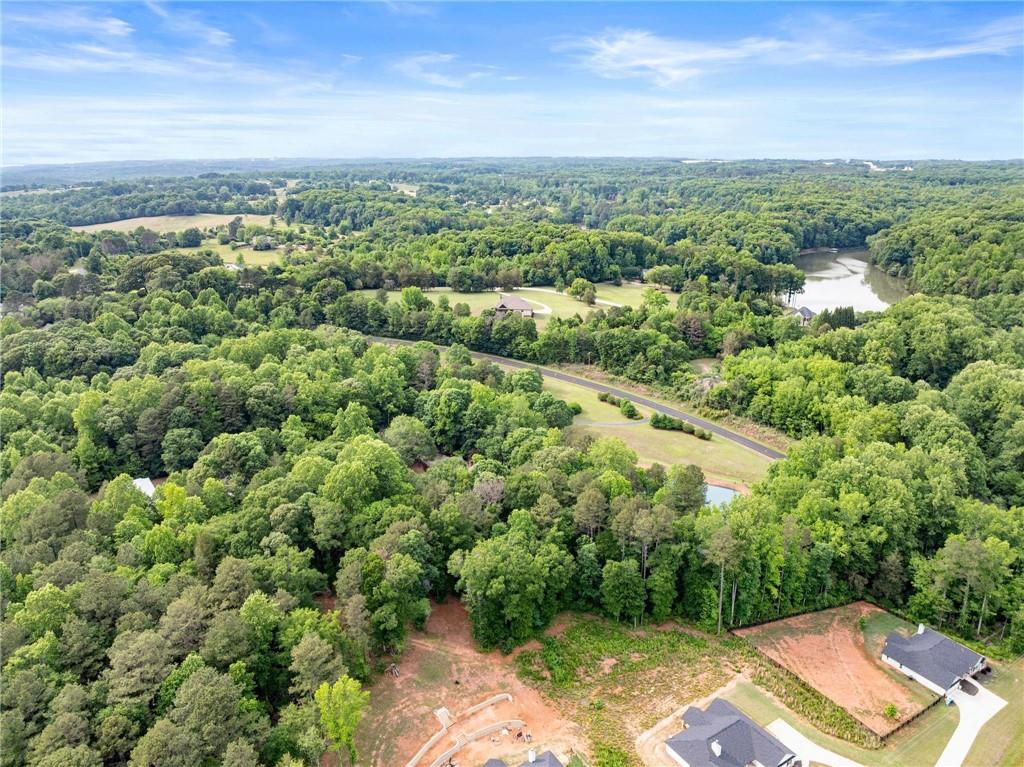 2832 B B Wilson Road Commerce, GA 30529 - Photo 91 of 96 an aerial view of a city with lots of residential buildings