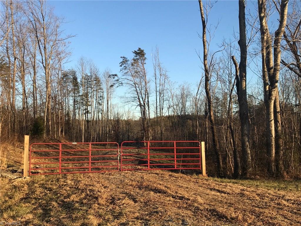 0 Kallam Road Sandy Ridge, NC 27046 - Photo 1 of 27