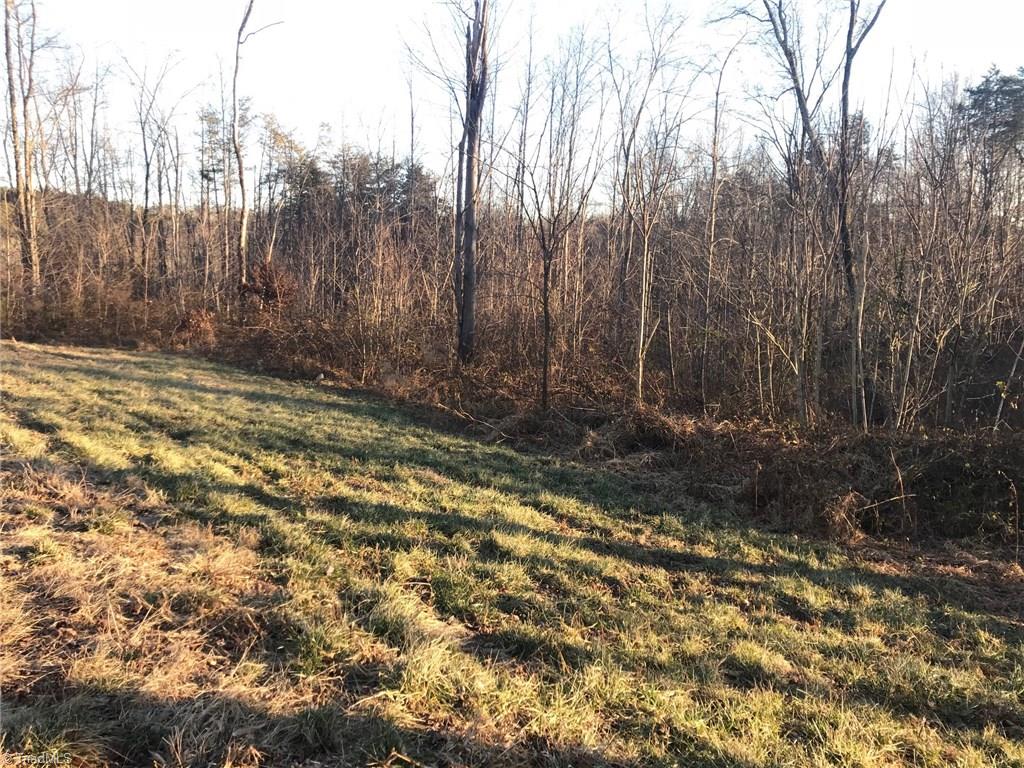0 Kallam Road Sandy Ridge, NC 27046 - Photo 2 of 27