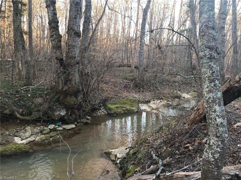 0 Kallam Road Sandy Ridge, NC 27046 - Photo 15 of 27