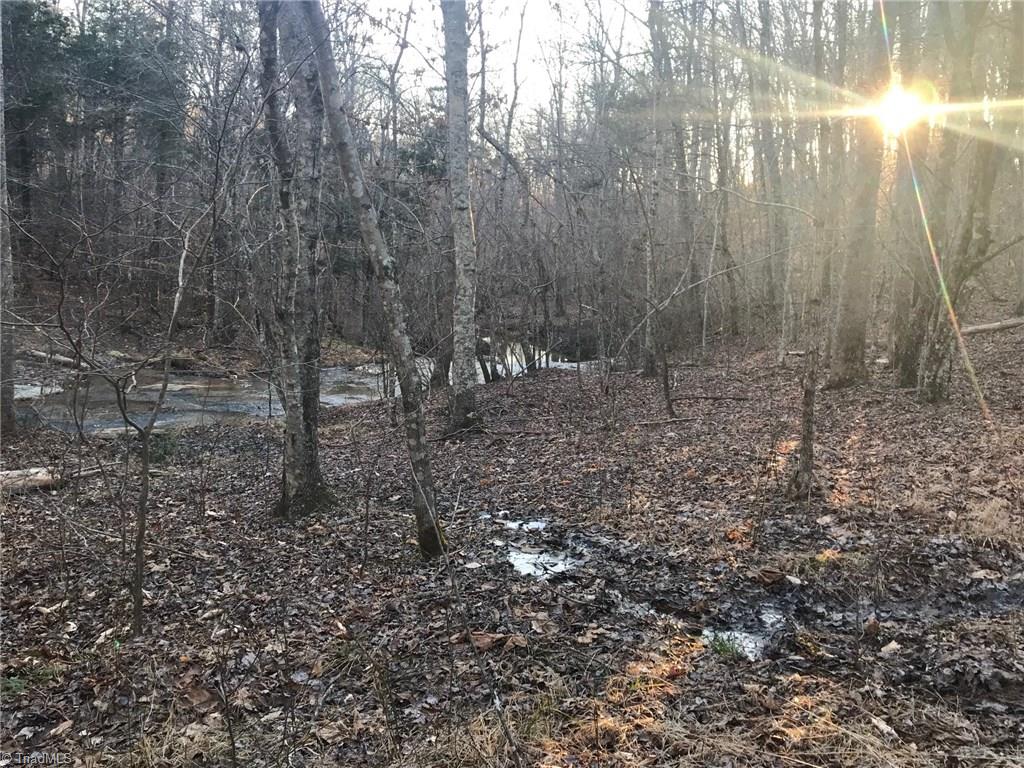 0 Kallam Road Sandy Ridge, NC 27046 - Photo 20 of 27