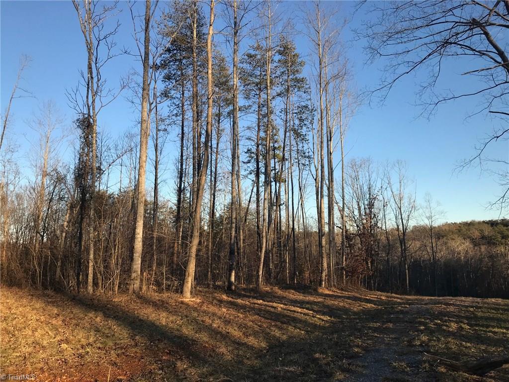 0 Kallam Road Sandy Ridge, NC 27046 - Photo 3 of 27