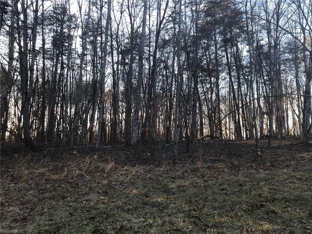 0 Kallam Road Sandy Ridge, NC 27046 - Photo 23 of 27