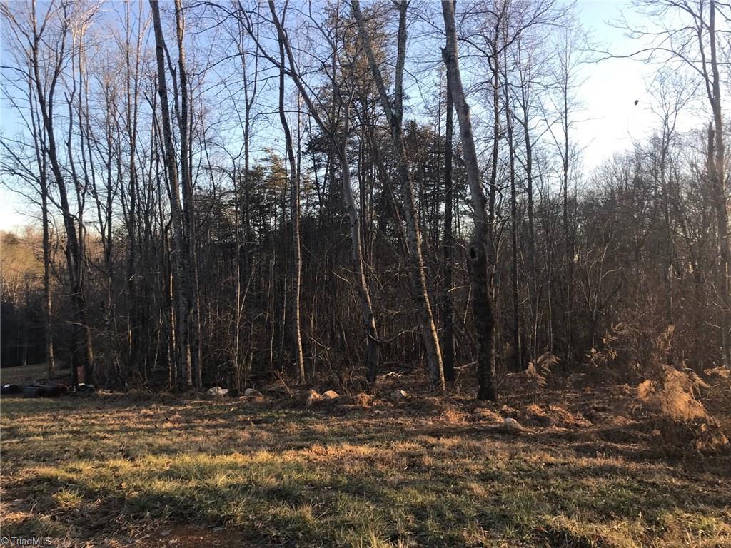 0 Kallam Road Sandy Ridge, NC 27046 - Photo 4 of 27