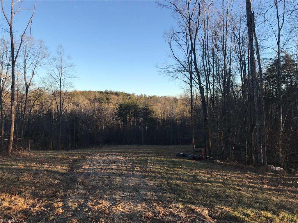 0 Kallam Road Sandy Ridge, NC 27046 - Photo 5 of 27