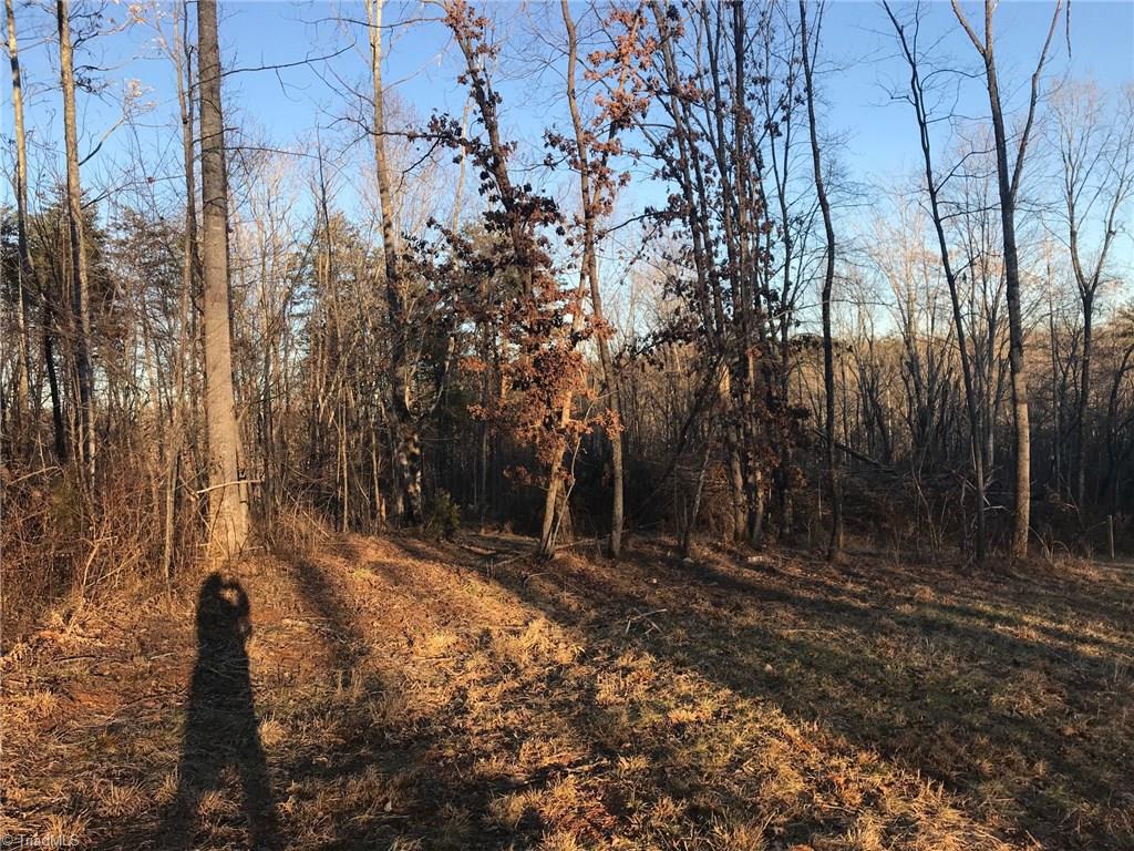 0 Kallam Road Sandy Ridge, NC 27046 - Photo 6 of 27