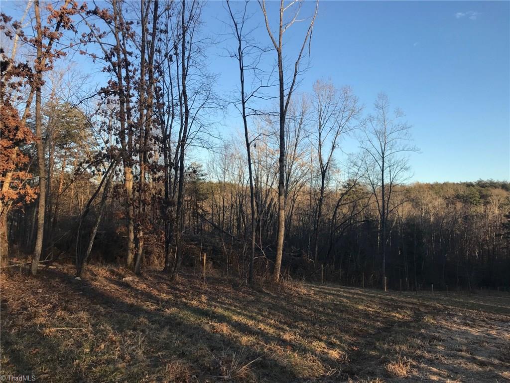 0 Kallam Road Sandy Ridge, NC 27046 - Photo 7 of 27