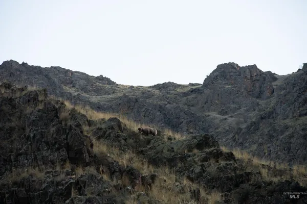 $33,000,000 | Tbd Tbd Tbd, Cottonwood, ID 83522