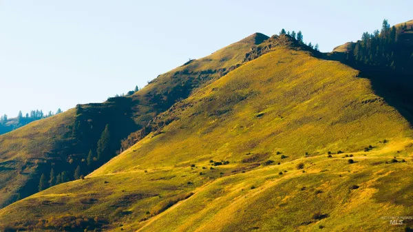 $33,000,000 | Tbd Tbd Tbd, Cottonwood, ID 83522