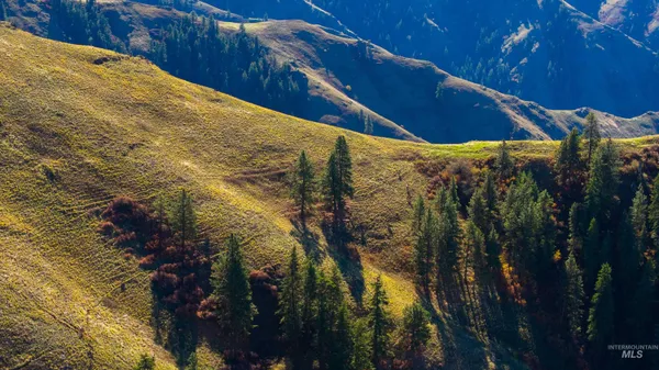 $33,000,000 | Tbd Tbd Tbd, Cottonwood, ID 83522