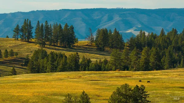 $33,000,000 | Tbd Tbd Tbd, Cottonwood, ID 83522