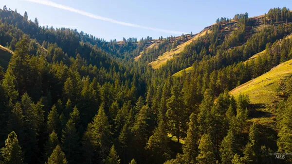 $33,000,000 | Tbd Tbd Tbd, Cottonwood, ID 83522