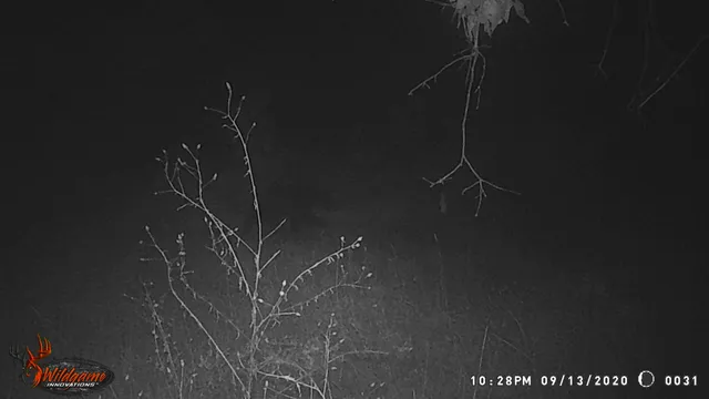 $259,900 | 8752 Hwy A Almond Wi 54909, Almond, WI 54909