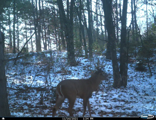 $259,900 | 8752 Hwy A Almond Wi 54909, Almond, WI 54909