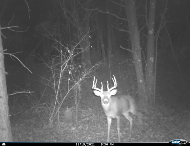 $259,900 | 8752 Hwy A Almond Wi 54909, Almond, WI 54909