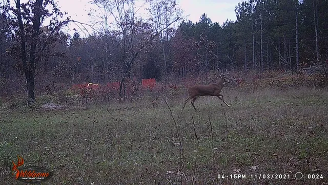 $259,900 | 8752 Hwy A Almond Wi 54909, Almond, WI 54909