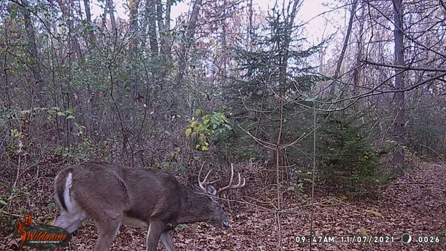 $259,900 | 8752 Hwy A Almond Wi 54909, Almond, WI 54909