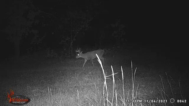 $259,900 | 8752 Hwy A Almond Wi 54909, Almond, WI 54909