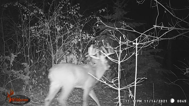 $259,900 | 8752 Hwy A Almond Wi 54909, Almond, WI 54909