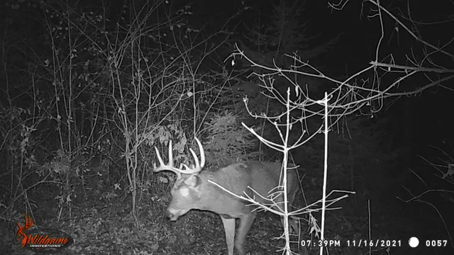 $259,900 | 8752 Hwy A Almond Wi 54909, Almond, WI 54909