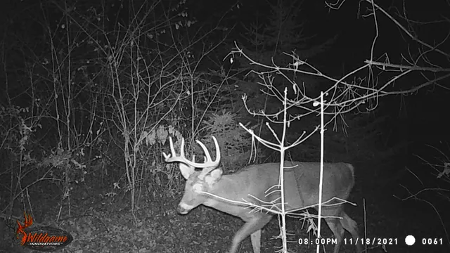 $259,900 | 8752 Hwy A Almond Wi 54909, Almond, WI 54909