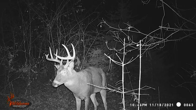 $259,900 | 8752 Hwy A Almond Wi 54909, Almond, WI 54909