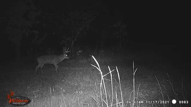 $259,900 | 8752 Hwy A Almond Wi 54909, Almond, WI 54909